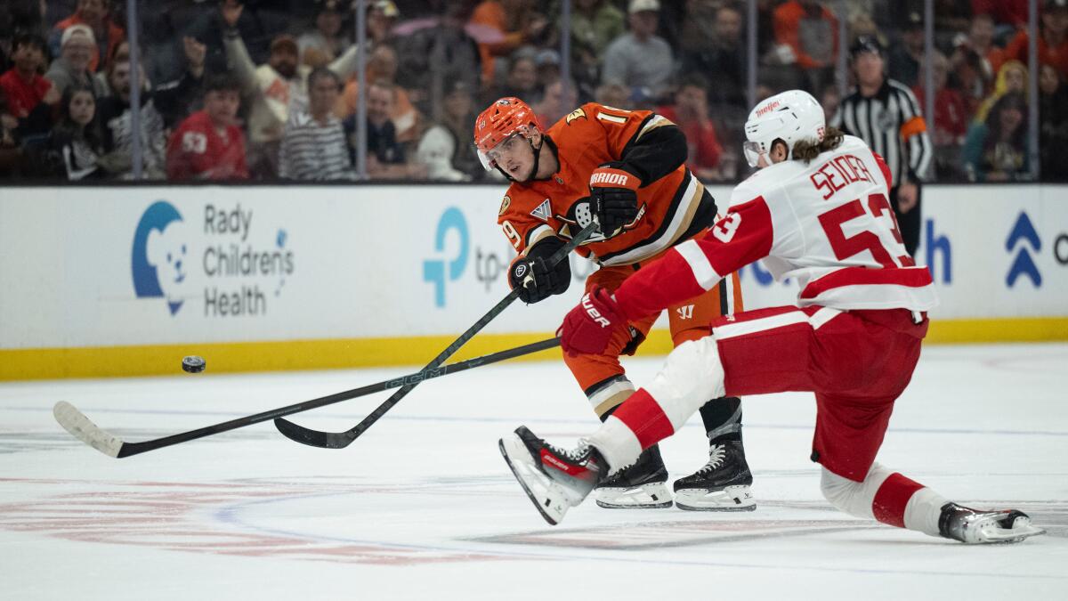 Troy Terry scores twice in Ducks' victory over Detroit Red Wings