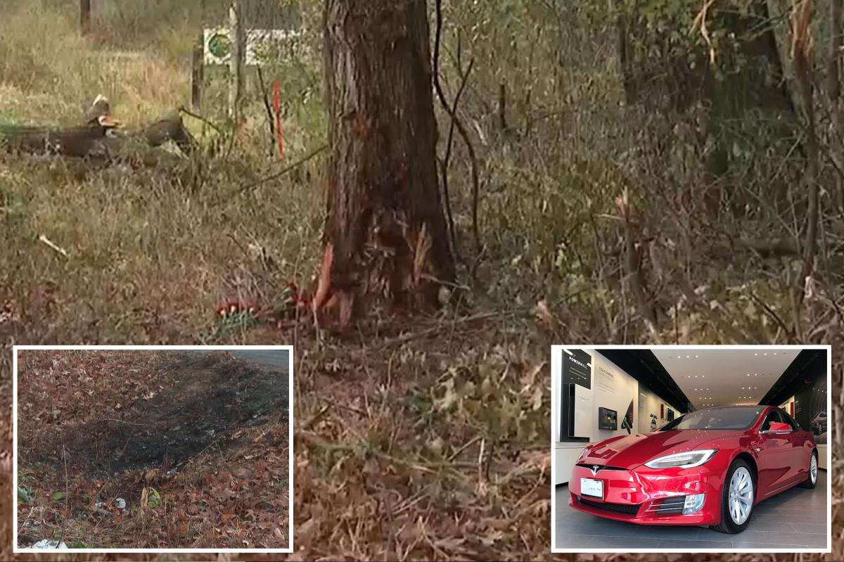Children sue Tesla after parents killed in fiery crash over alleged...
