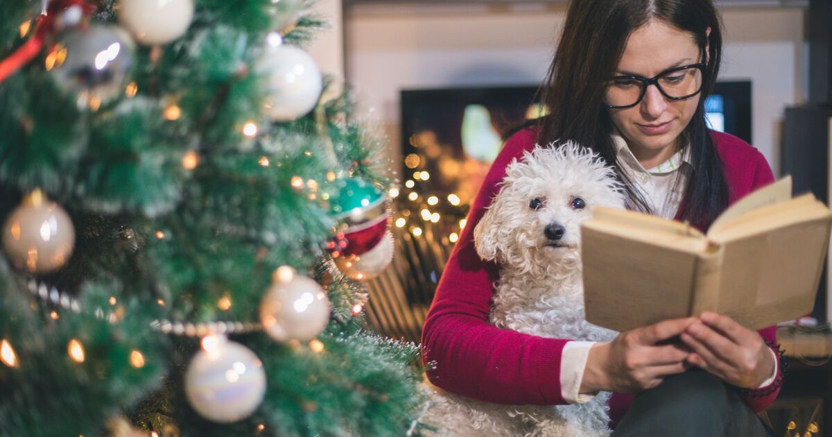 'I read every day and these are my top 2025 Christmas release books'