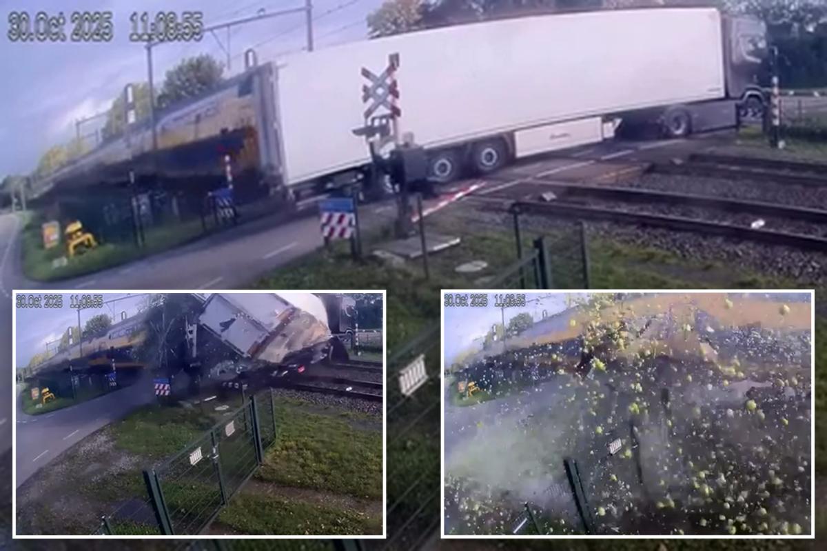 Wild video shows moment high-speed passenger train ploughs into truck...