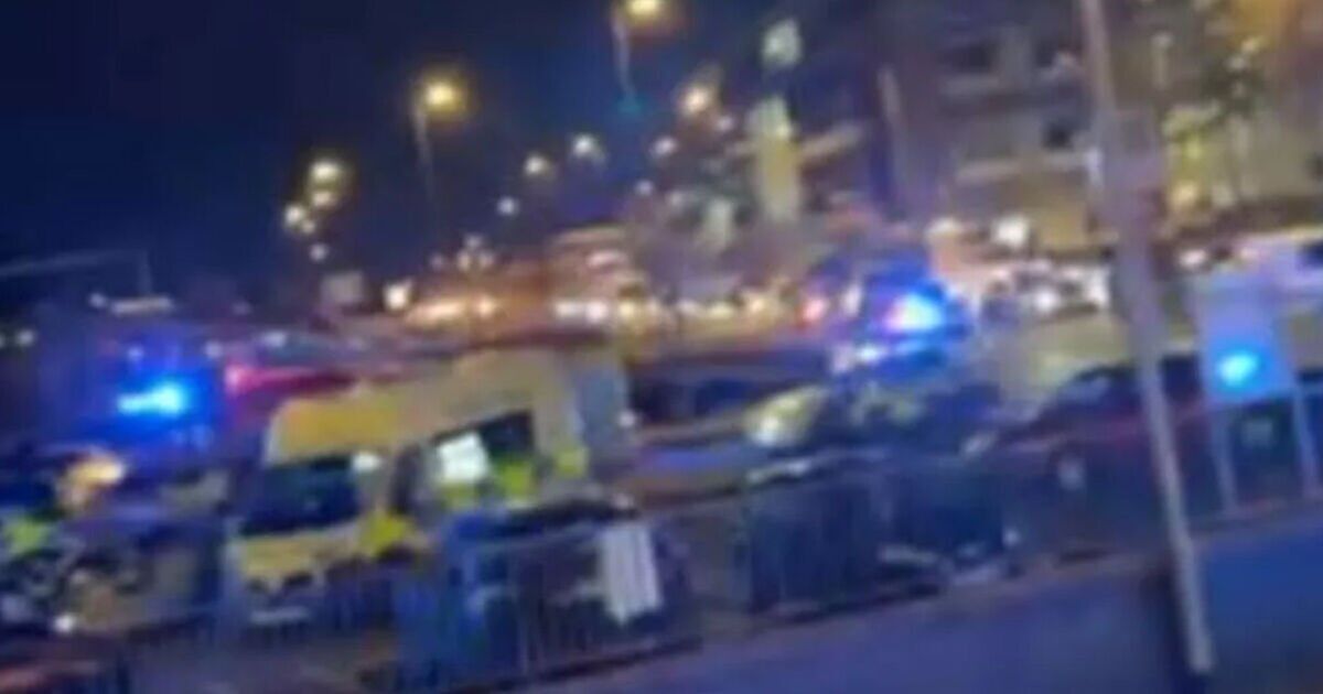 Train station swarmed by police as all services halted after incident