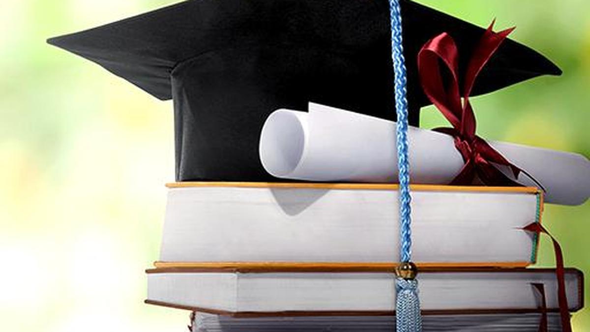 T.N. government's scholarship scheme helps transwoman realise her dream of studying abroad
