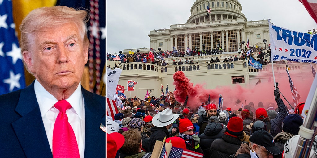 Trump issues fresh pardons for Jan 6 defendants, including woman accused of threatening FBI on social media