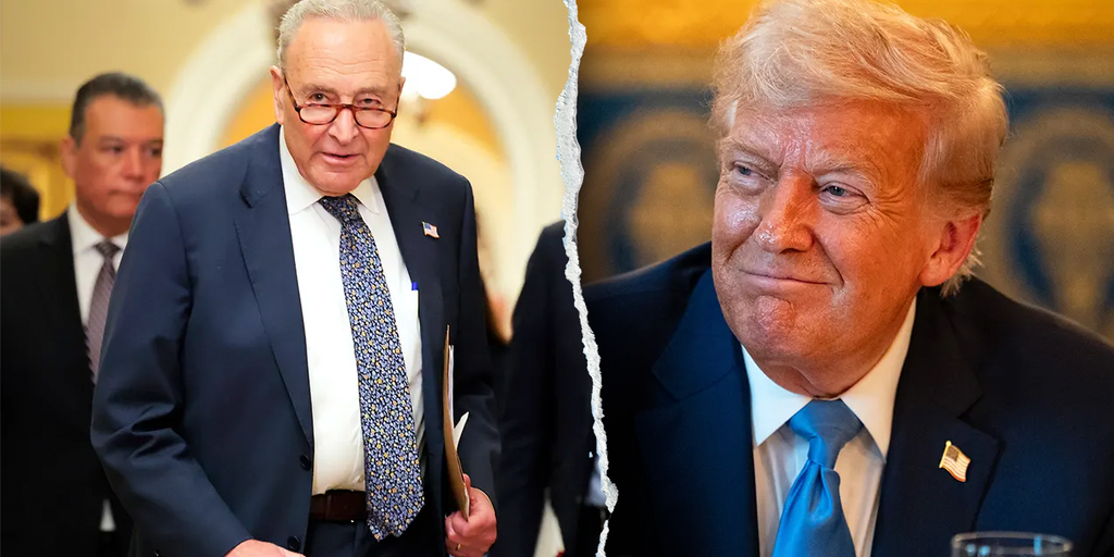 Trump argues Schumer 'made a mistake' amid Dem leader's party infighting