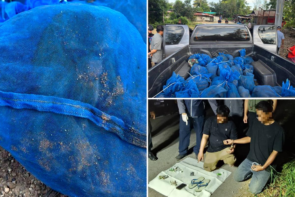 Two men caught smuggling 81 monkeys, meth as part of international...