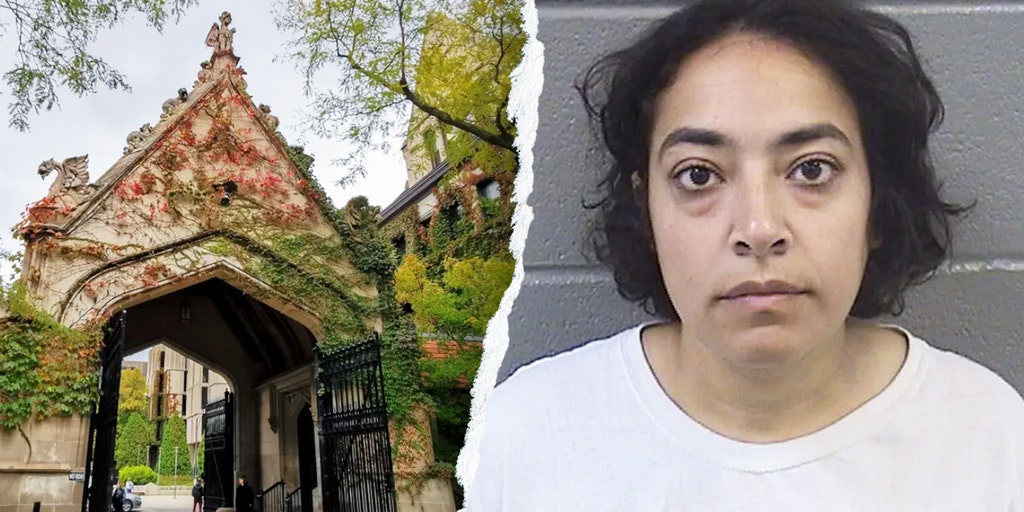 UChicago silent on anti-ICE professor's employment status month after rally arrest on violent felonies