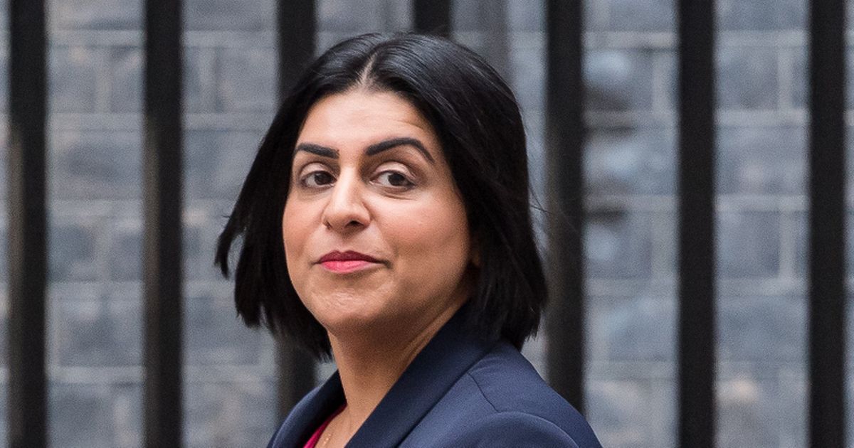 UK looks to Denmark for stricter immigration system - The Mirror