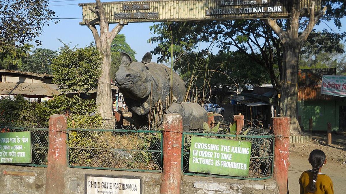 Assess ecological implications of proposed elevated corridor in Kaziranga, UNESCO urged