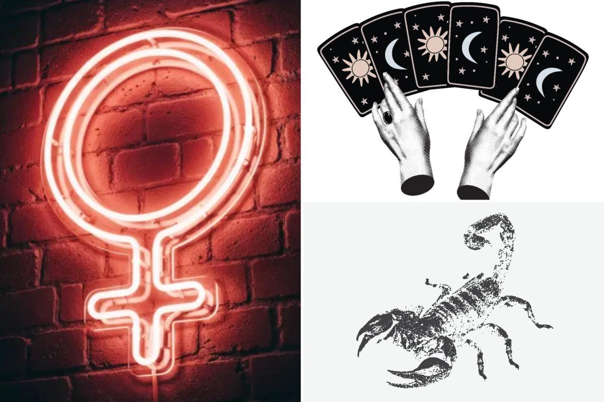 Here's a tarot card reading for each zodiac sign when Venus is in...