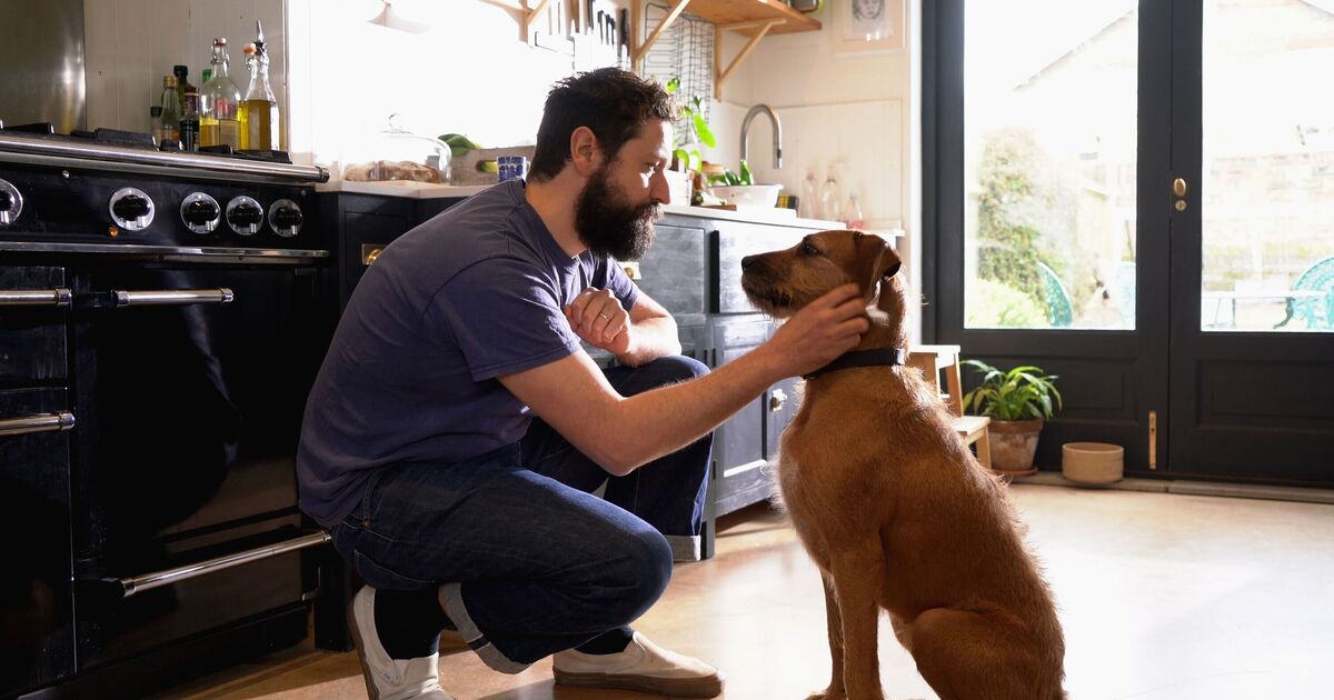 Experts issue warning to pet owners over 1 common habit