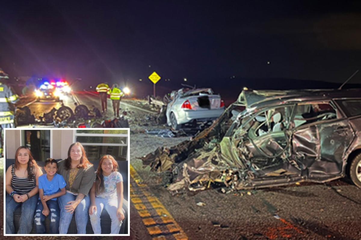 Victims in deadly car crash identified as carjacker with criminal...