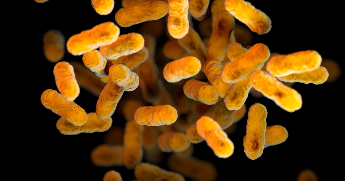 Whooping cough cases are rising. Know the symptoms and how to avoid infection.