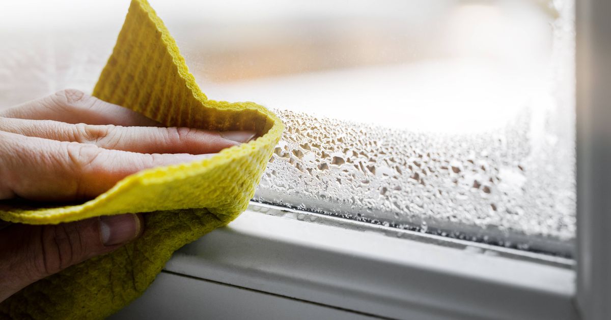 Windows will be free of condensation in winter when glass is coated in one common household item - The Mirror