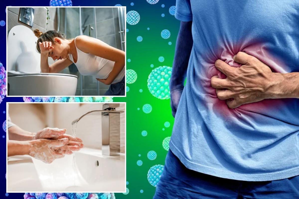 The 'winter vomiting disease' is back in full force  --  how to...