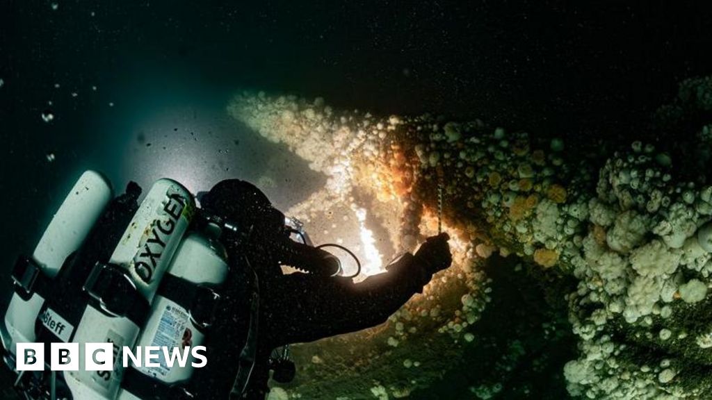 Divers identify torpedoed wreck of HMS Bayano after 110 years