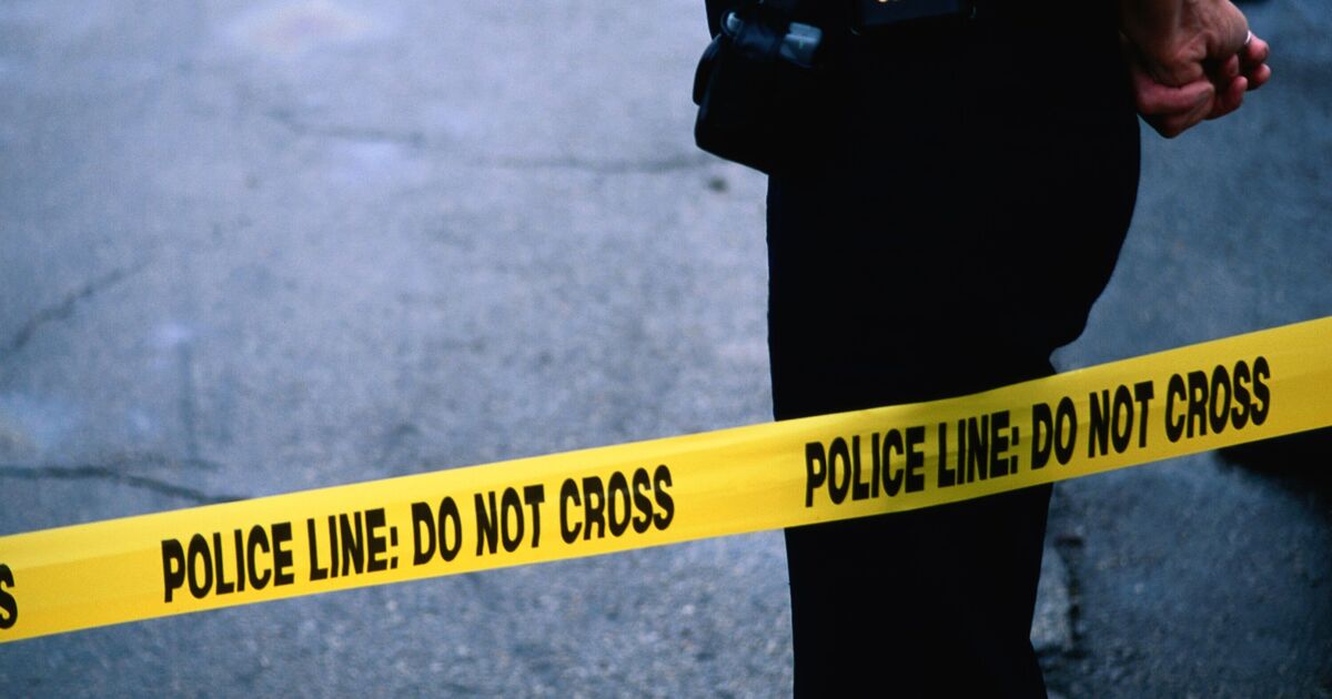 Horror as 12-day old baby mauled to death by dog - 'Bitten several times'