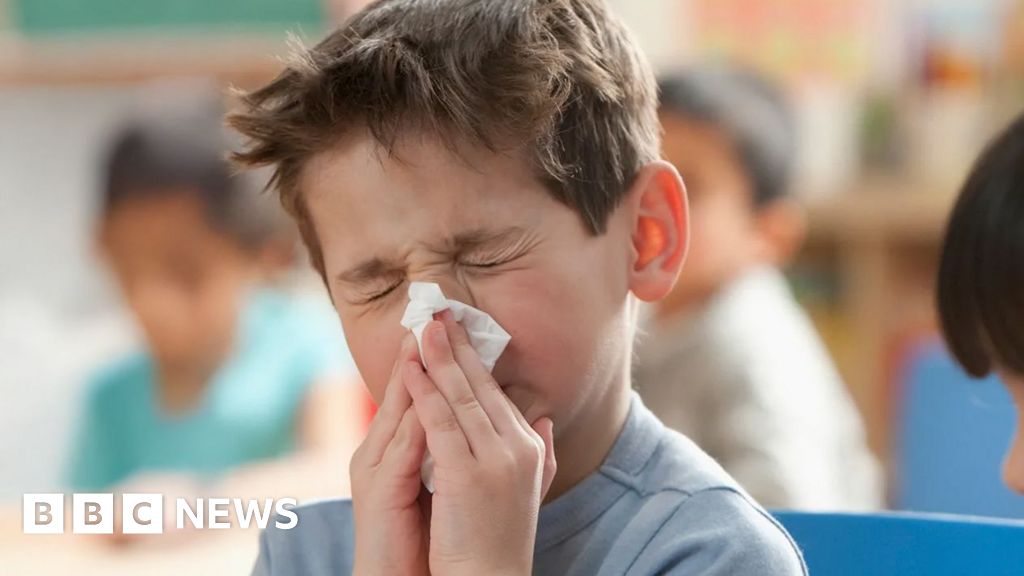 Aberdeenshire schools reduce hours over rising flu cases