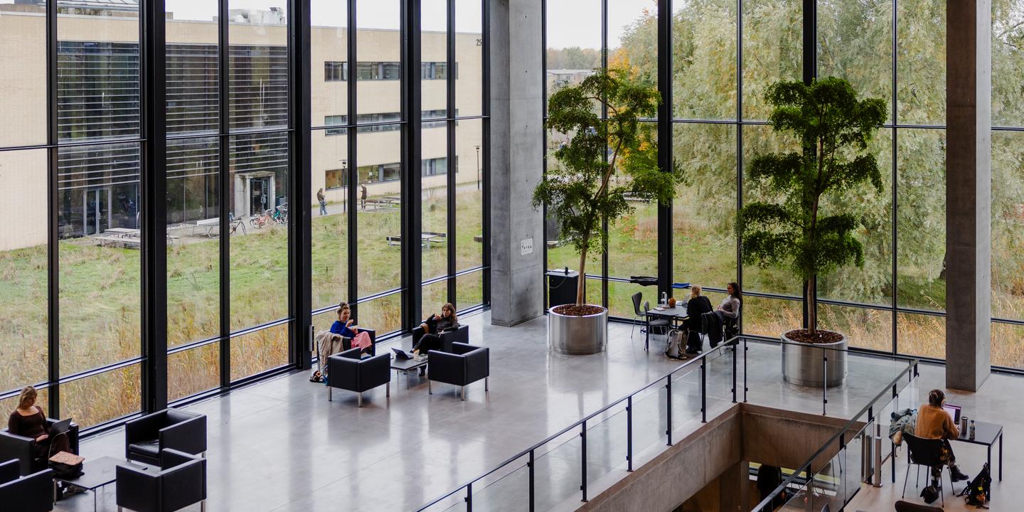'Academic freedom at risk': The Danish university shaken by an anti-immigration cabal