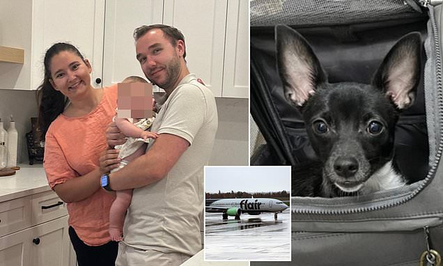Little-known airline rule stops couple flying home for the holidays