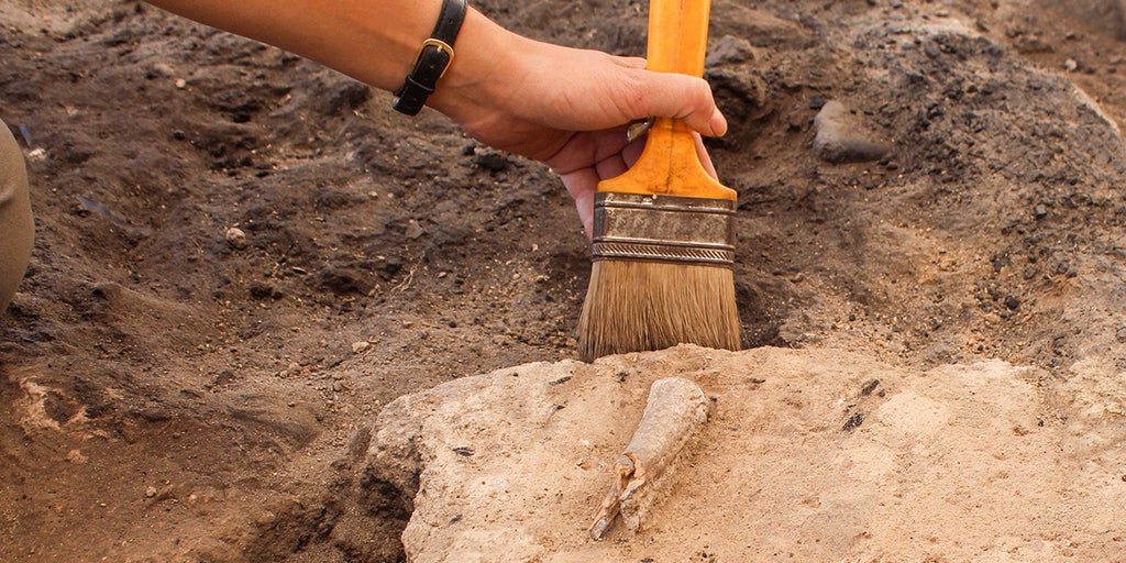 Ancient plague mystery cracked after DNA found in 4,000-year-old animal remains
