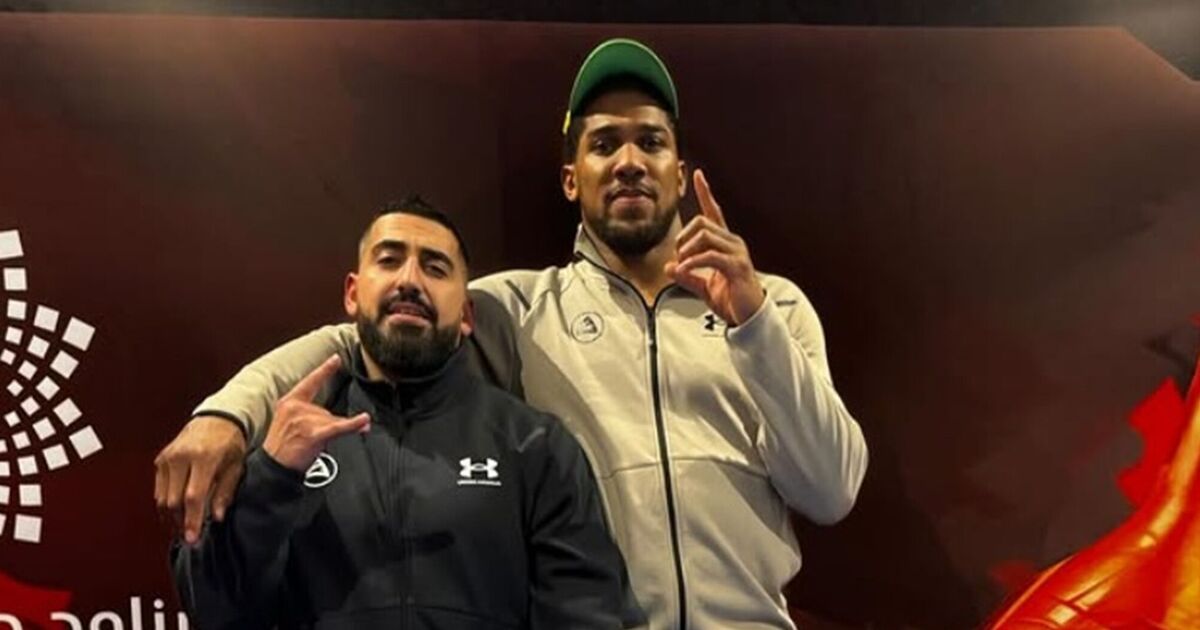 Who were the Anthony Joshua horror crash victims as two friends named