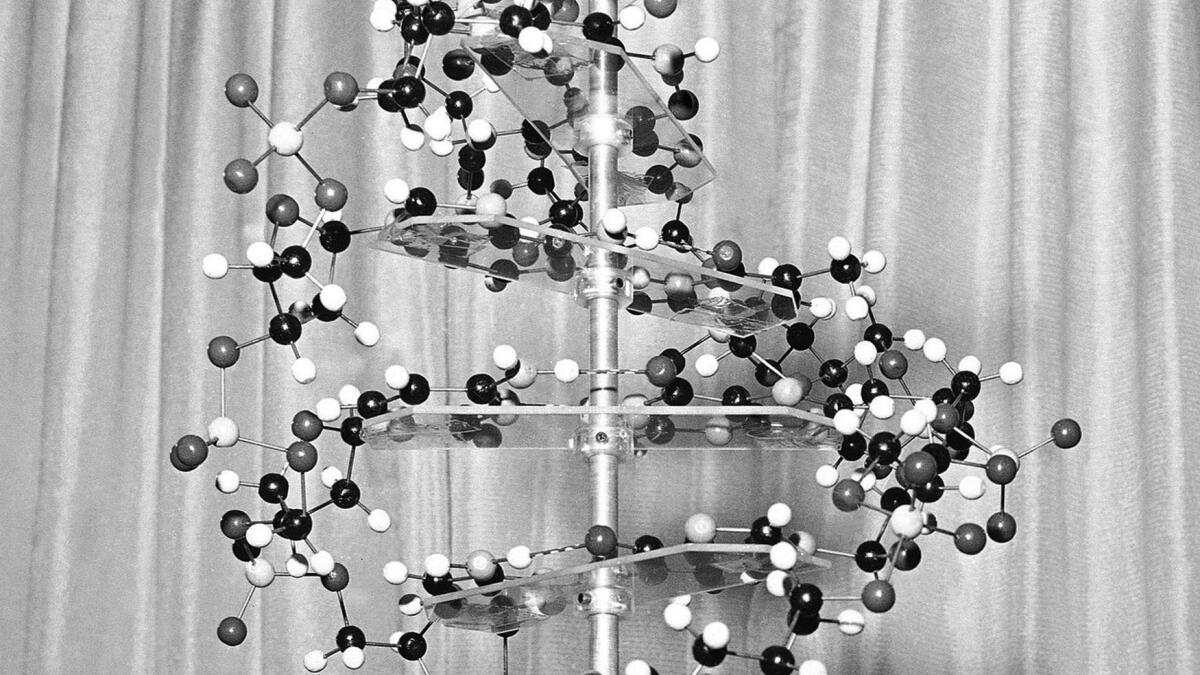 In search for autism's causes, look at genes, not vaccines, researchers say