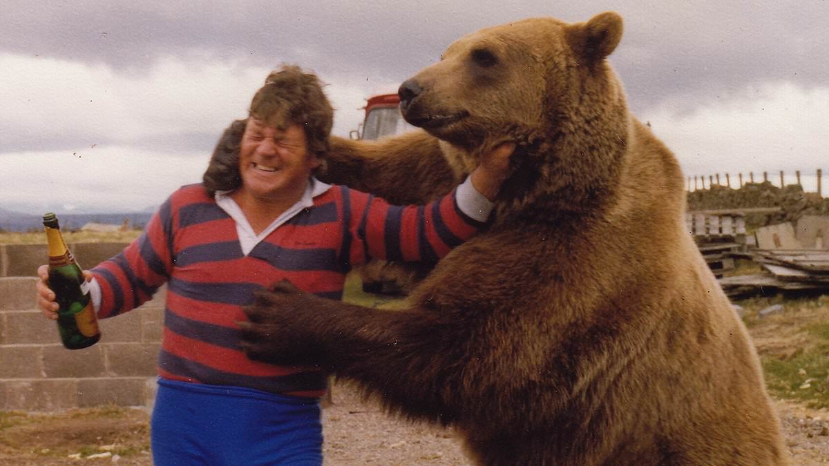 BBC2 viewers praise 'brilliant and hilarious' Hercules The Bear