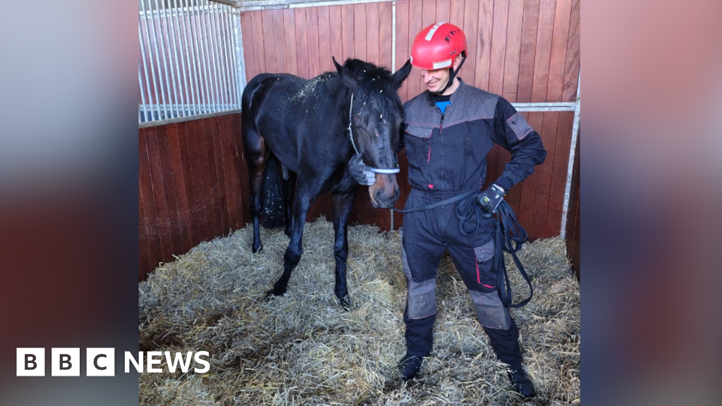 Berkshire firefighters leap in to save trapped showjumping horse
