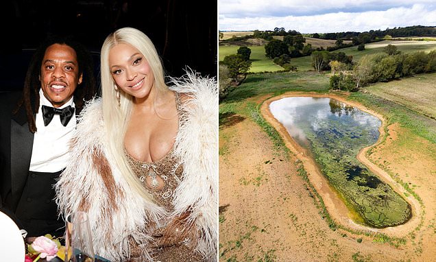 The 'rich person' clause that will benefit Beyonce and Jay-Z
