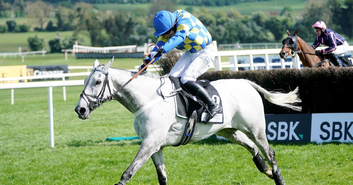 'Galloping grey loves the Grand National fences' - Jason Heavey's Saturday tips - Daily Star