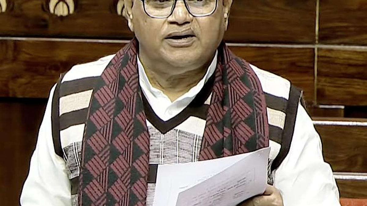 'Secular' and 'socialist' not needed in Preamble, says BJP MP