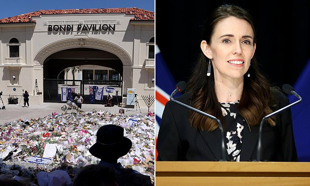Bondi attack survivor's punishment EVERY Aussie can hit killers with