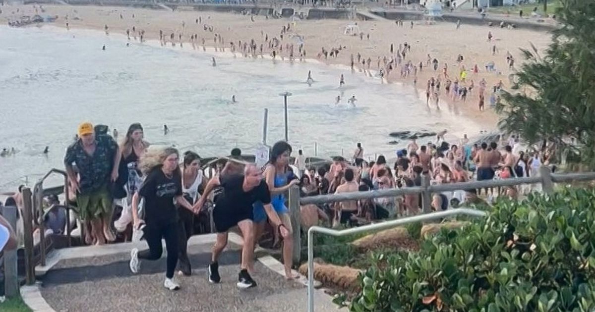 Hotel employee admits Bondi attackers barely left hotel during Philippines stay - Daily Star