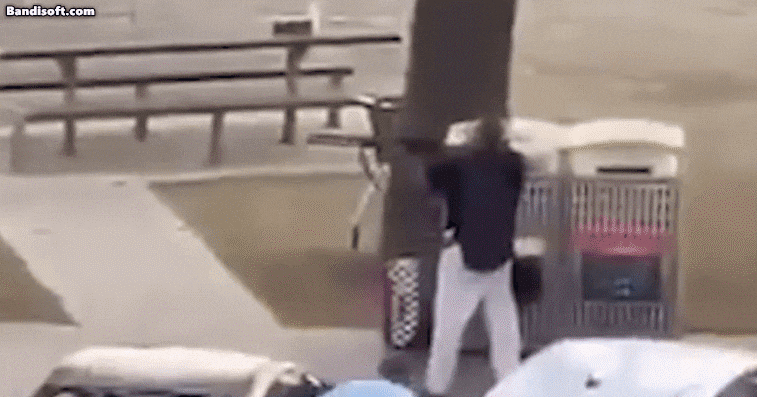 Bondi Beach Shooting Kills 10, Citizen Hero Subdues Gunman