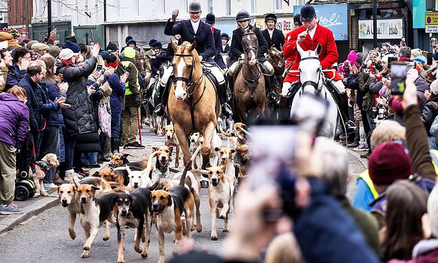 Boxing Day hunt defies Chris Packham and council as Labour's ban looms