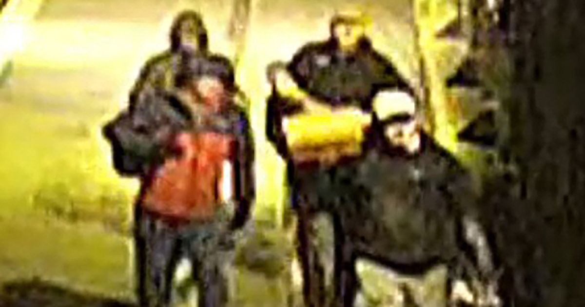 Brazen burglars stole 600 'irreplaceable' items from Bristol Museum in two heists - The Mirror