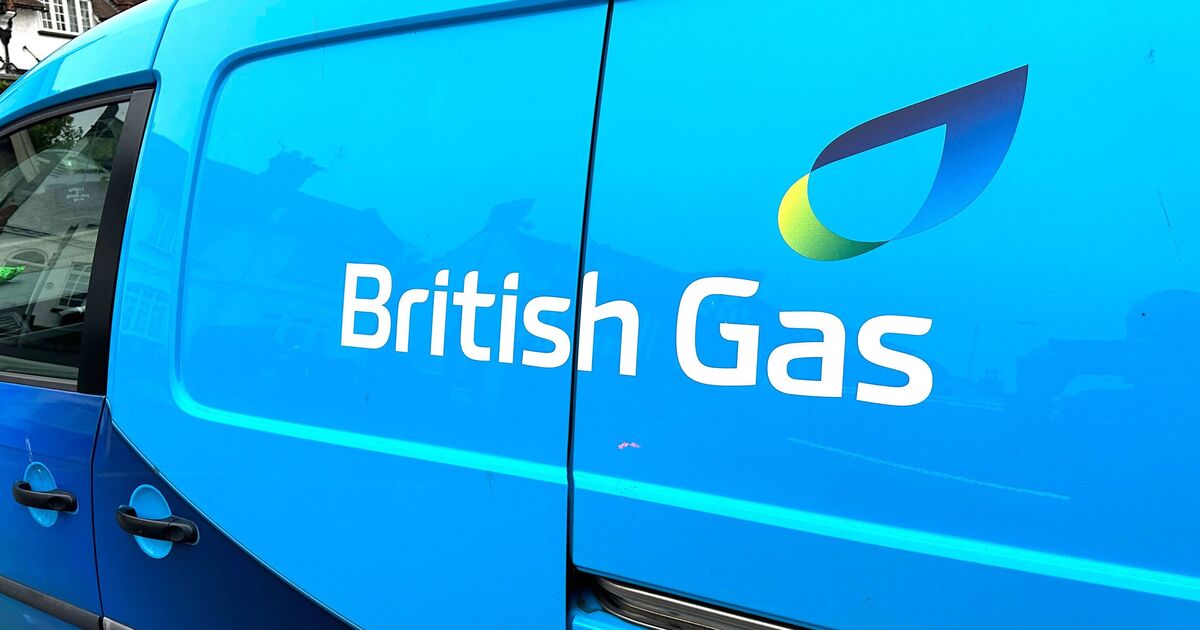 British Gas urges customers to cook and charge devices in these hours