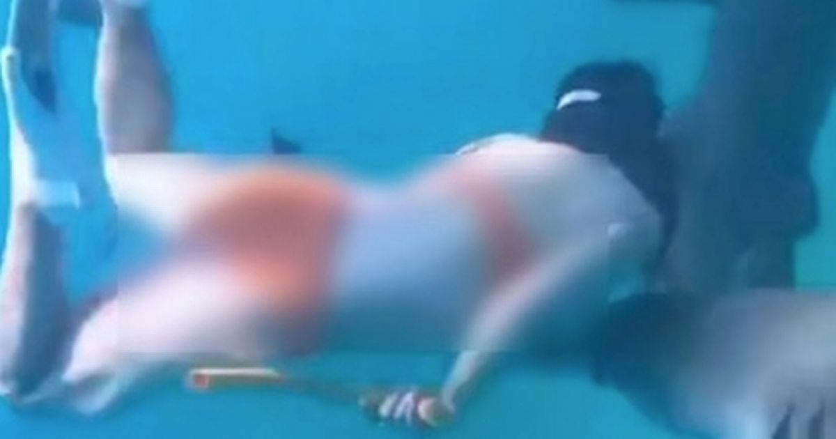 Tourist in horror shark attack after chasing beast to 'play with it'
