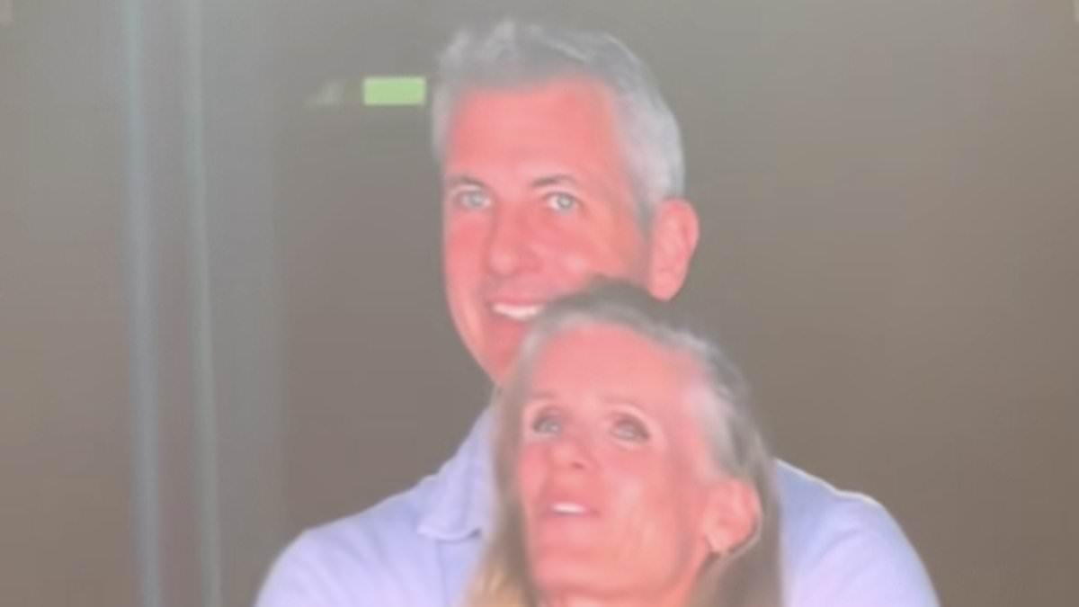 What happened to the Coldplay kisscam CEO?
