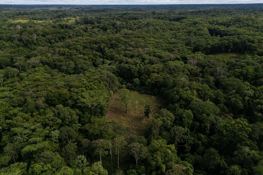 Colombia will use drones to destroy coca crops as it grapples with record cocaine production