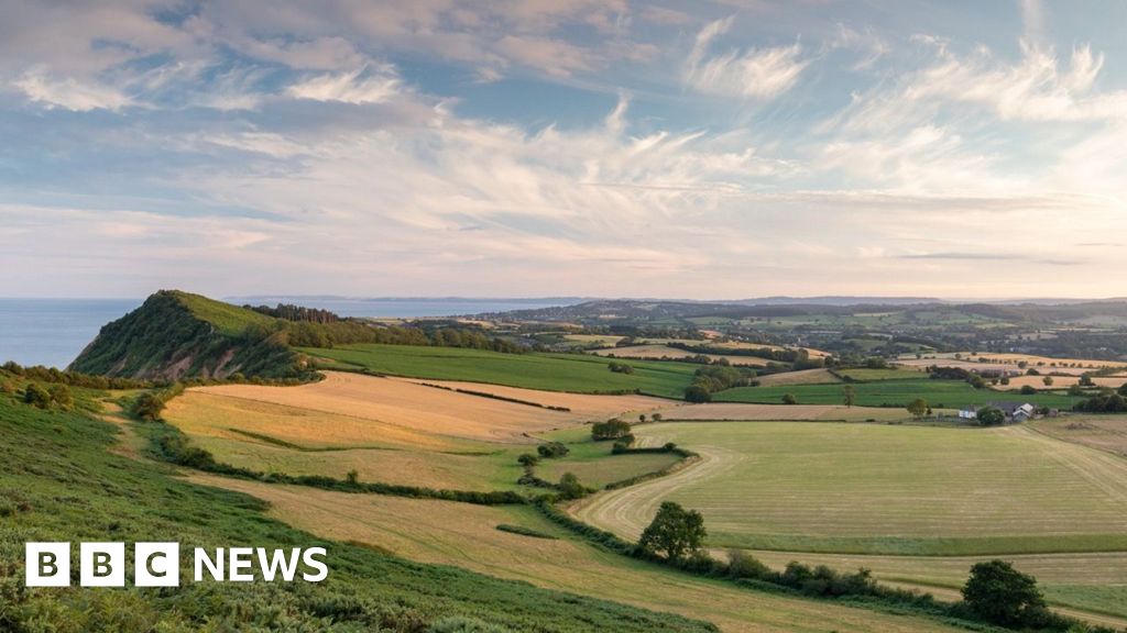 A year of change - Devon politics in 2025