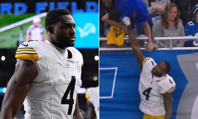 DK Metcalf learns fate after Steelers star took a swing at a fan