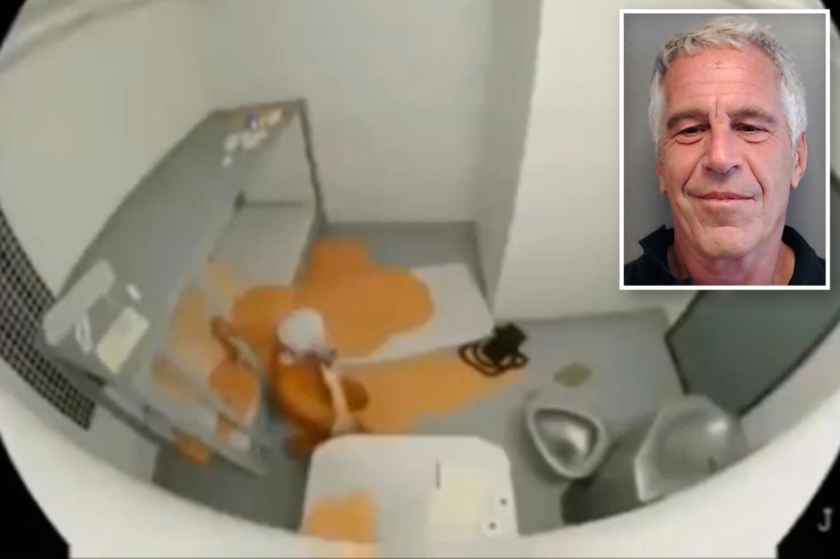 DOJ releases shocking fake video of Jeffrey Epstein suicide as part...