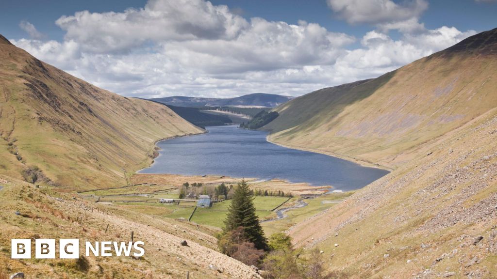 Drones drop tree seeds to help protect Talla Reservoir
