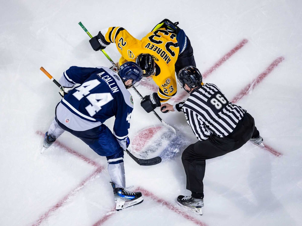ECHL, Professional Hockey Players' Association reach tentative agreement to end strike