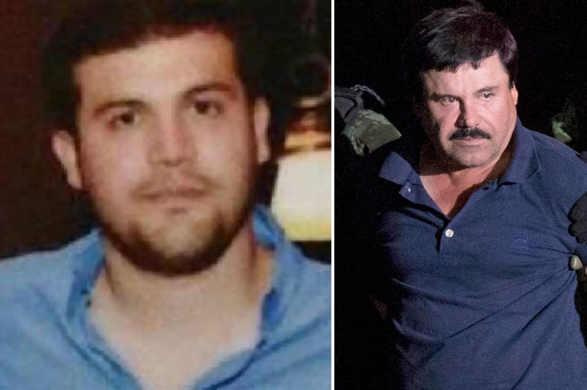 Son of drug kingpin 'El Chapo' pleads guilty in US drug...
