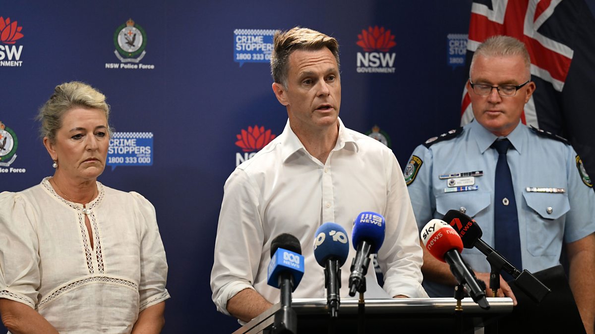 BBC World Service - Newshour, Eleven people killed in antisemitic attack in Australia