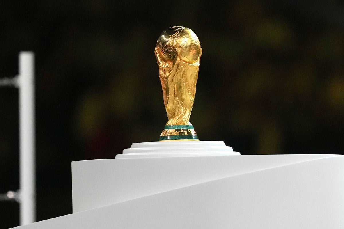 FIFA makes World Cup climbdown after backlash over prices