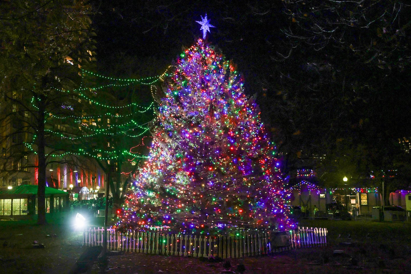 Free and nearly free December events in Boston: Tree lightings, book bargains, and more - The Boston Globe
