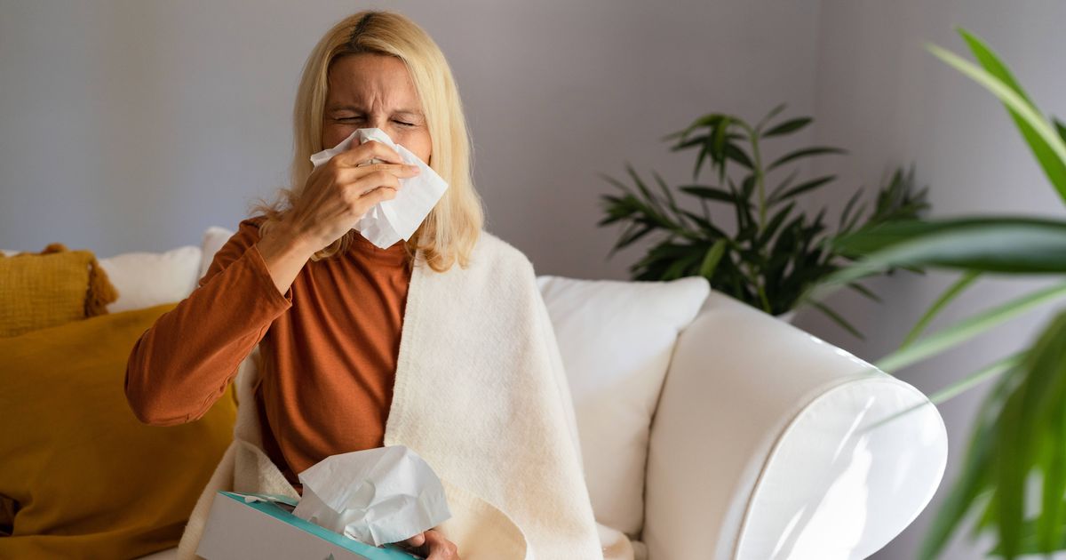 GP shares simple 'secret' to reducing risk of catching colds and flu this winter - The Mirror